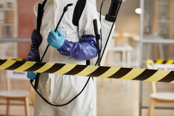 Professional Hoarding Cleanup technician working in Clayton, MO